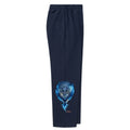 Image for color: french navy