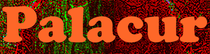 Palacur - Startseite